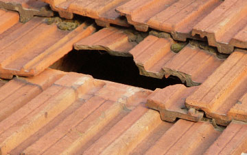 roof repair Little Mountain, Flintshire